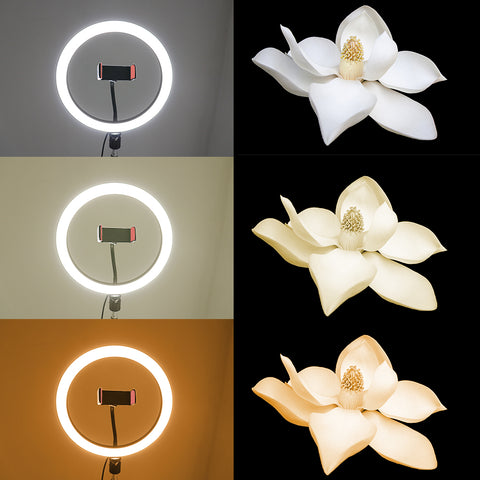 Ringlamp met statief 210cm -26cm lamp en bluetooth clicker